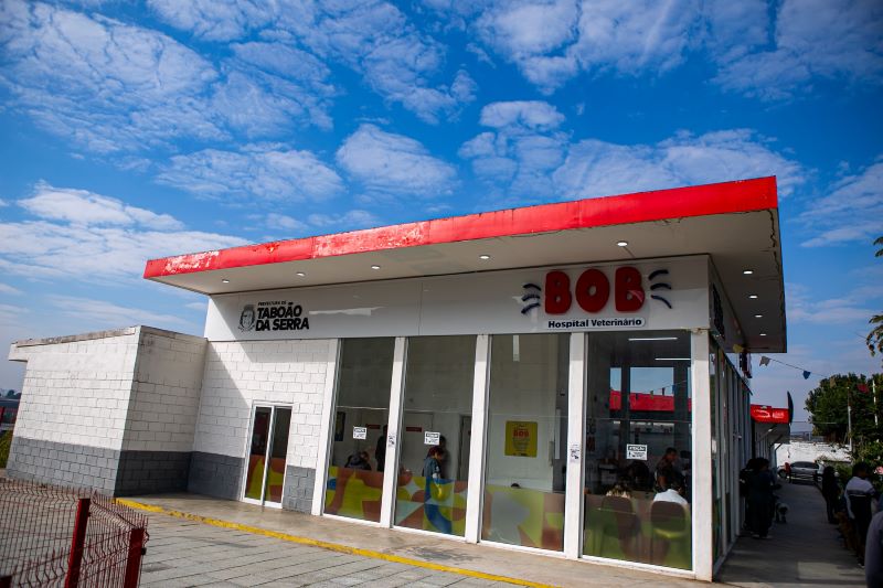 Hospital Veterinário Municipal Bob anuncia novo número de WhatsApp para informações ao público