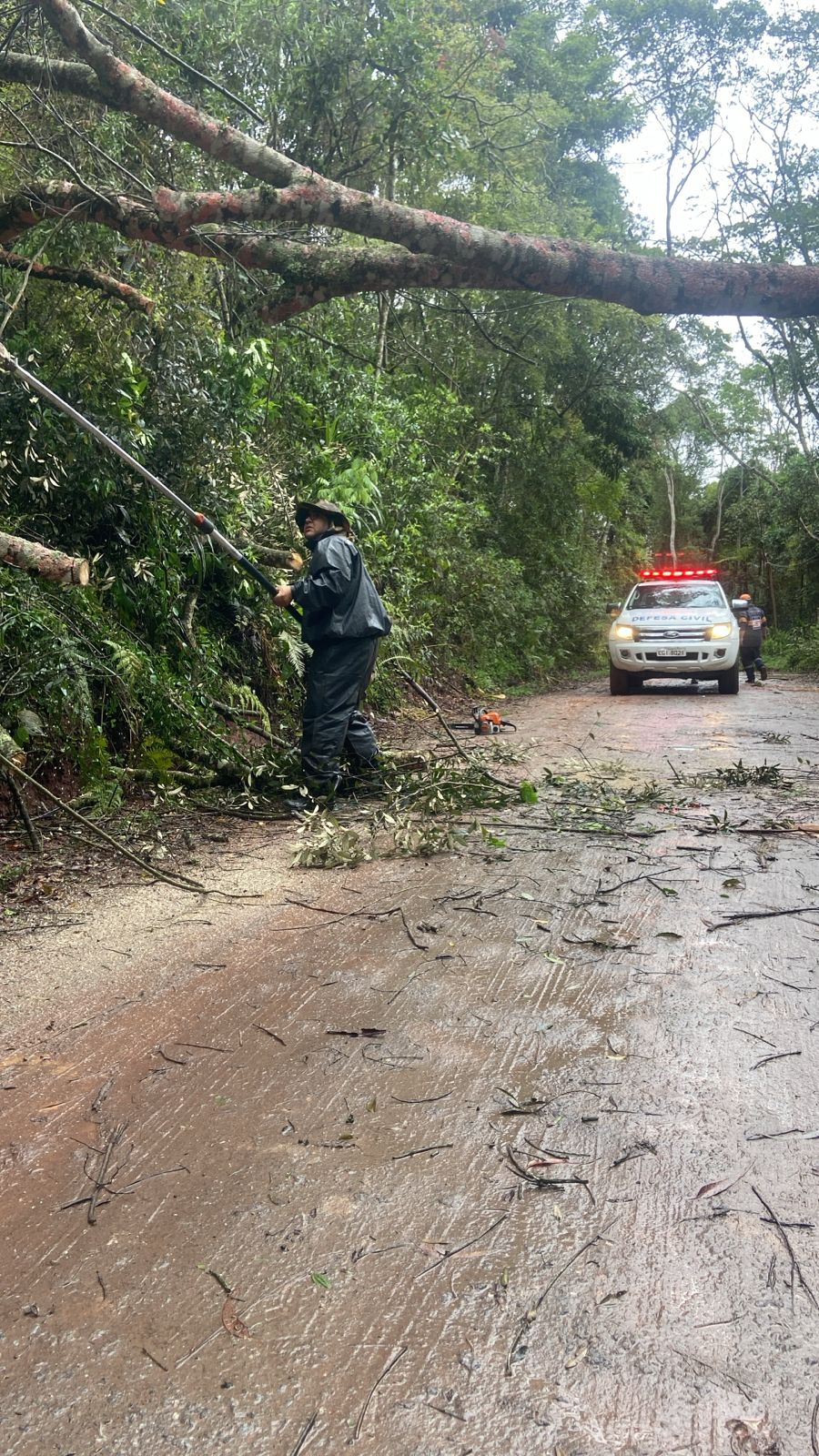 Defesa Civil de Itapecerica da Serra atua após fortes ventos  e realiza remoção de árvores em diversos bairros