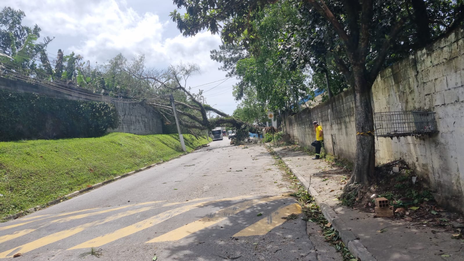 Ventania provoca queda de árvores e deixa moradores sem água e energia em Itapecerica da Serra