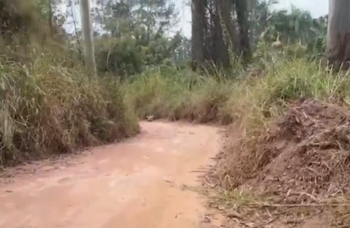 Criminoso com extensa ficha criminal é encontrado morto em área rural e polícia apura execução por “tribunal do crime”