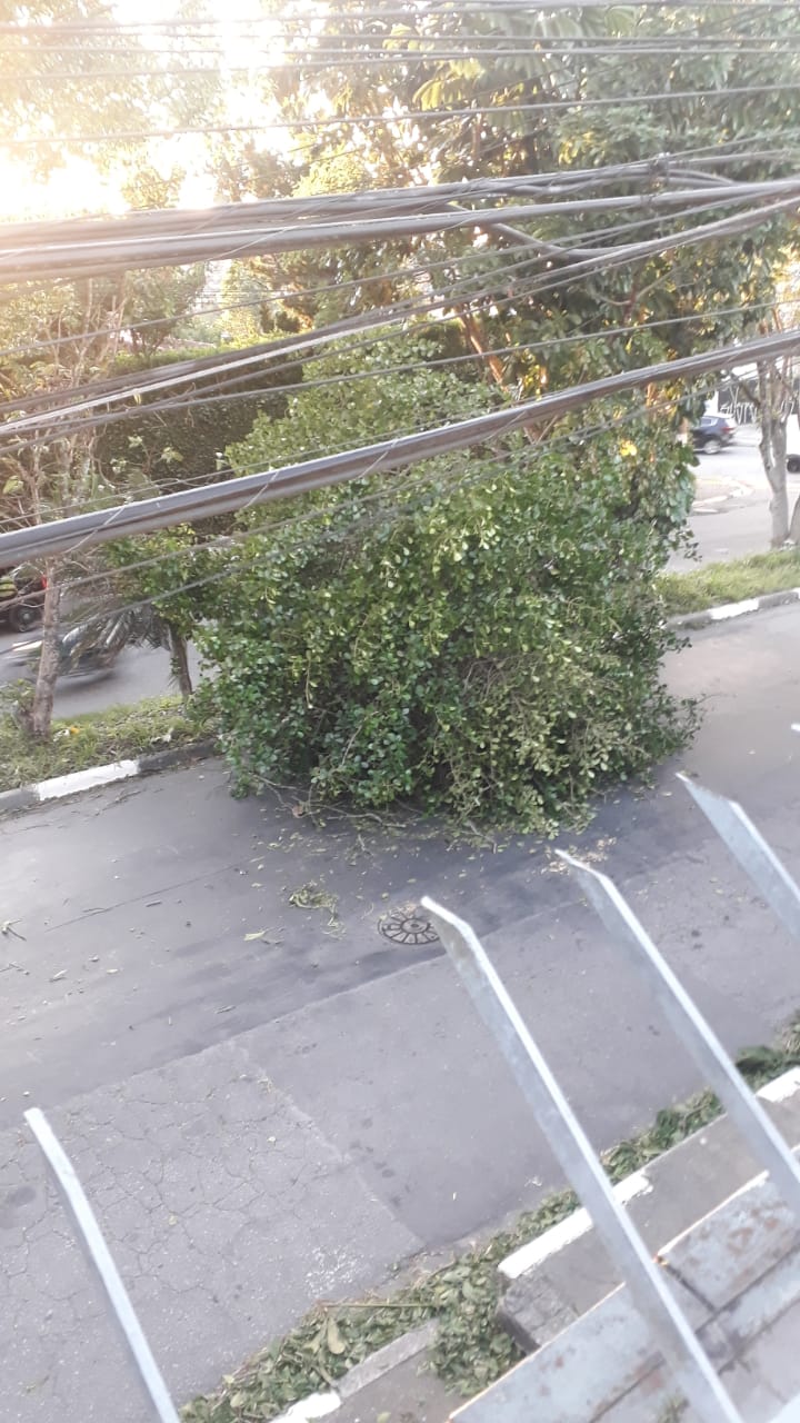 Itapecerica da Serra e região enfrentam caos após ventania de 120 km/h; cidades seguem sem energia e água