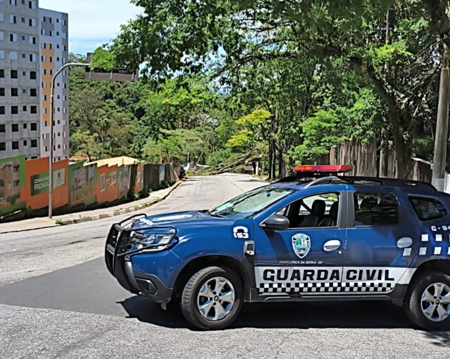 Árvore de grande porte cai sobre fiação e interdita rodovia Armando Sales, em Itapecerica da Serra