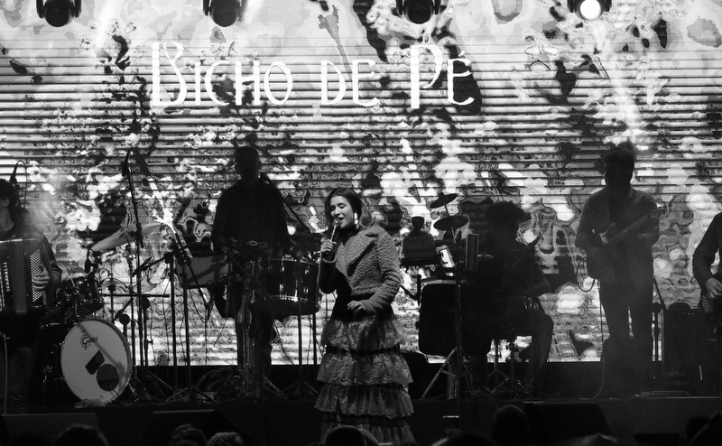 3º São João de Itapecerica da Serra reúne grande público e celebra a cultura popular com música, dança e tradição